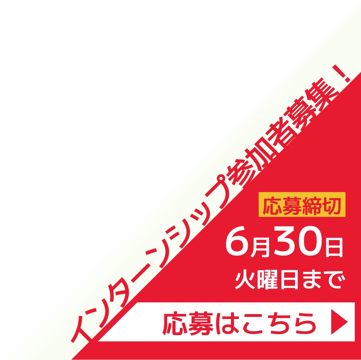 インターンシップ参加者募集！6月30日火曜日まで。